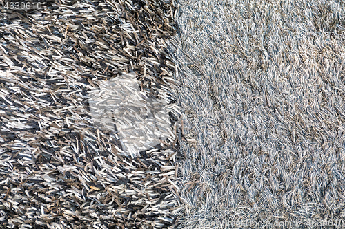 Image of Shaggy Carpets