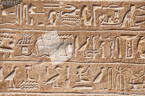 Image of Ancient Hieroglyphic Script