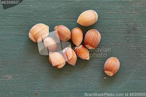 Image of Hazelnut on a table