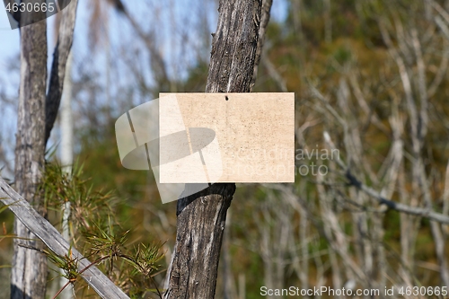 Image of Blank sign in a forest, add your own text