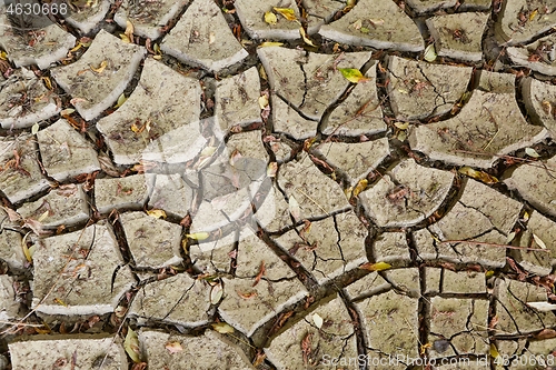 Image of Dry sediment soil cracks appearing