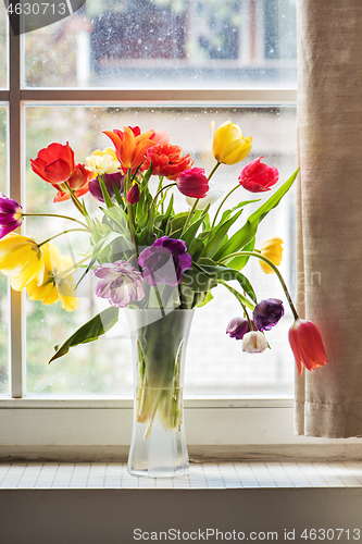 Image of Multicolored tulips in a vase,