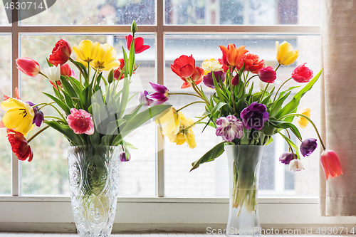 Image of Multicolored tulips in a vase,