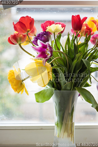 Image of Multicolored tulips in a vase,