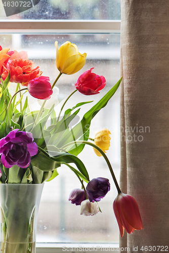 Image of Multicolored tulips in a vase,