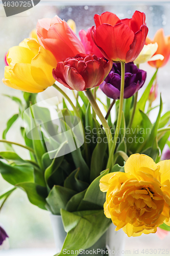Image of Multicolored tulips in a vase,
