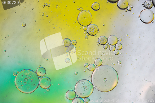 Image of Green, yellow and white abstract background picture made with oil, water and soap