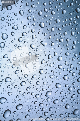 Image of Shiny Water Droplets