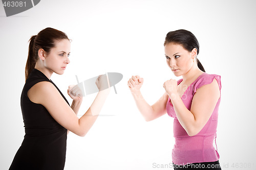 Image of Businesswomen fighting