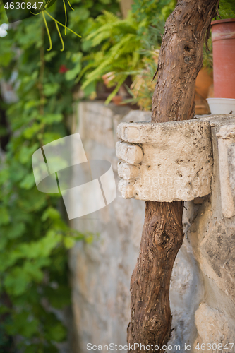 Image of Ancient stone construction with tree trunk