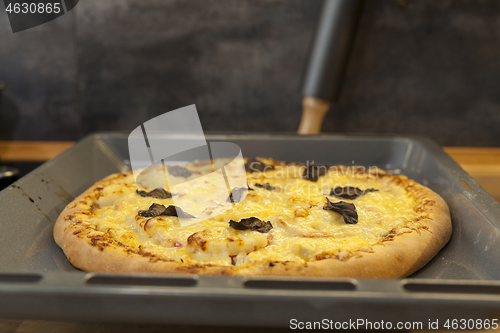 Image of Baked quattro formaggi pizza in rectangular oven griddle.