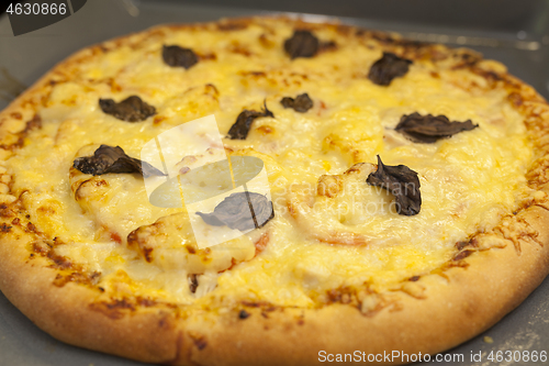 Image of Baked quattro formaggi pizza in rectangular oven griddle.