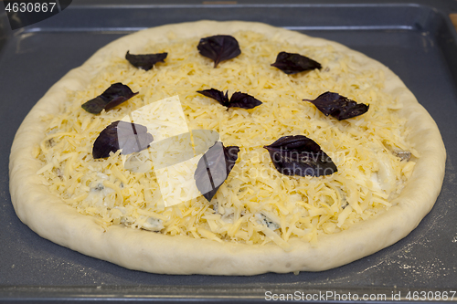 Image of Fresh raw pizza quattro formaggi with 4 sorts of cheese.