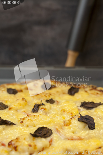 Image of Baked quattro formaggi pizza in rectangular oven griddle.