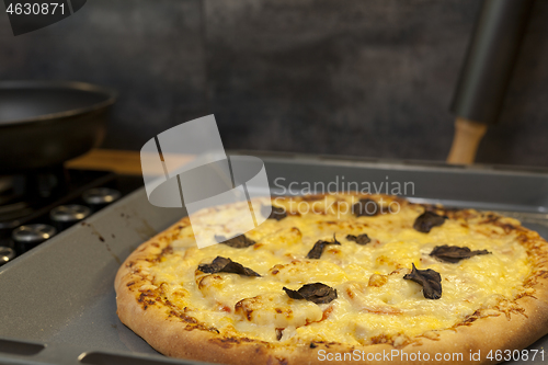 Image of Baked quattro formaggi pizza in rectangular oven griddle.