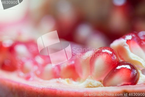 Image of Macro shooting of pomegranate grains