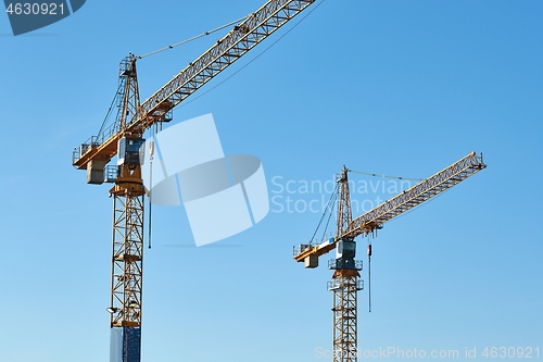 Image of Tall Construction Cranes