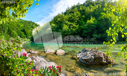 Image of Mountains and the Tara river