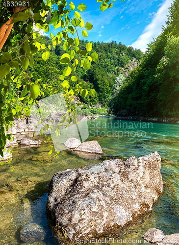 Image of Tara river Montenegro