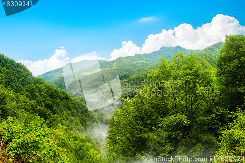 Image of Durmitor National park Montenegro