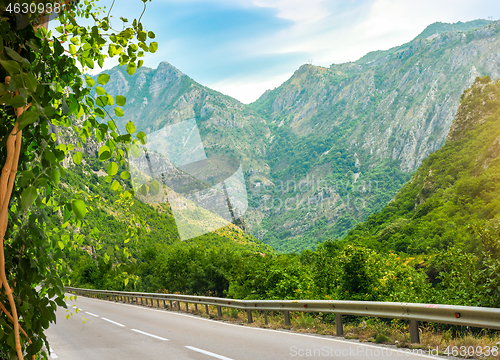 Image of Winding road in Montenegro