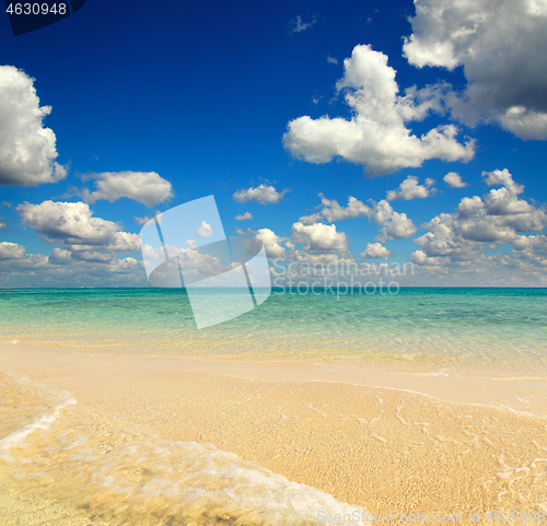 Image of white sandy sea spit beach