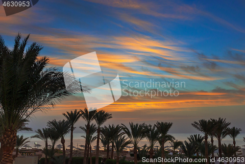 Image of palms and sea on resort before sunrise