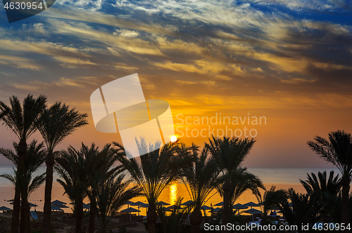 Image of palms and sea on resort before sunrise