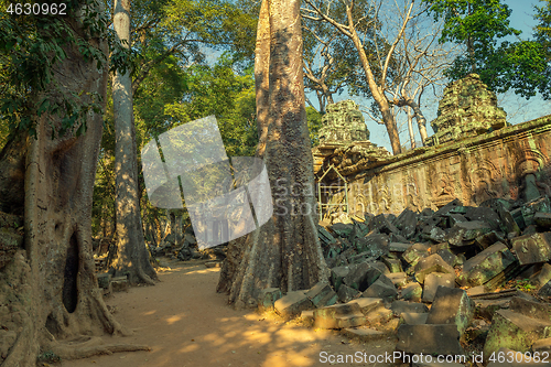 Image of Ta Prohm temple in Angkor Wat Cambodia