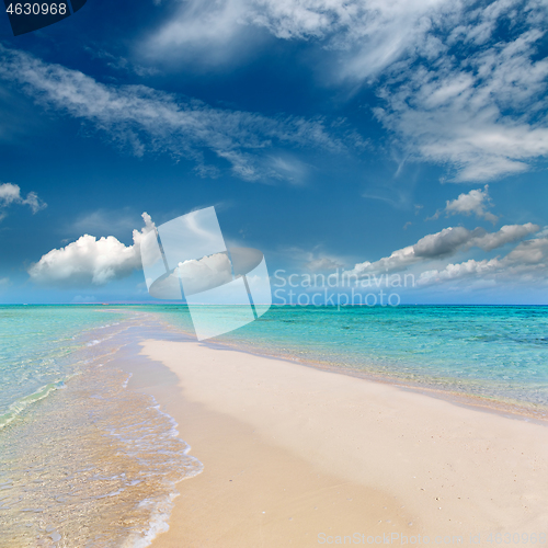 Image of white sandy sea spit beach leading into ocean