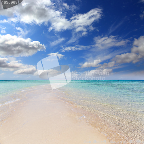 Image of white sandy sea spit beach leading into ocean