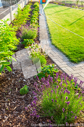 Image of Garden with fresh new lawn, bark mulch area to reduce weed growth and your plants