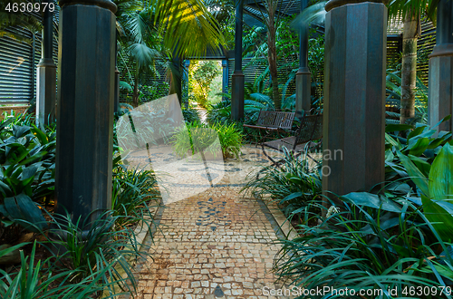 Image of Shade garden for shade loving plants and trees