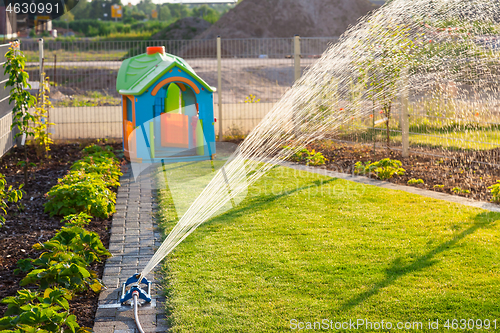 Image of Automatic watering system for new fresh lawn