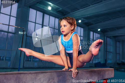 Image of beautiful girl is engaged in sports gymnastics on a log