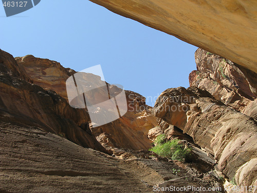 Image of Canyon in Petra