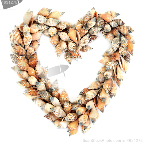 Image of Heart Shaped Seashell Wreath