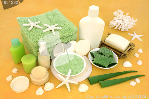 Image of  Natural Aloe Vera Skincare Vegan Beauty Treatment