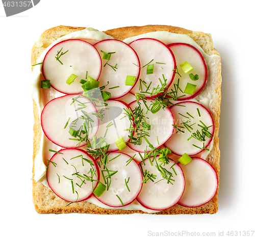 Image of toasted bread with cream cheese and radish