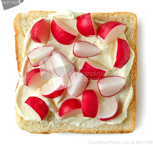 Image of toasted bread with fresh radish