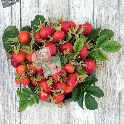 Image of Rosehip Berry Fruit Health Food