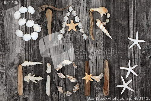 Image of Abstract Starfish on Rustic Wood Background