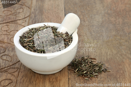 Image of Ladies Bedstraw Herb used in Herbal Medicine