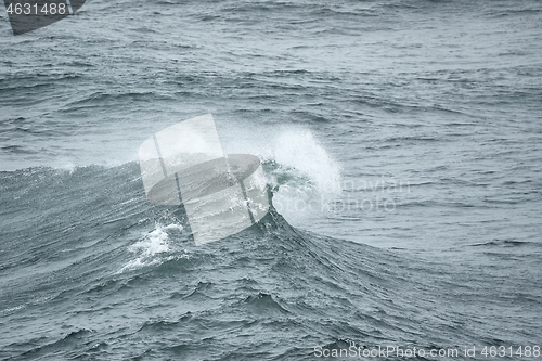 Image of Stormy Waves Breaking