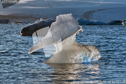 Image of Glacial lake with icebergs