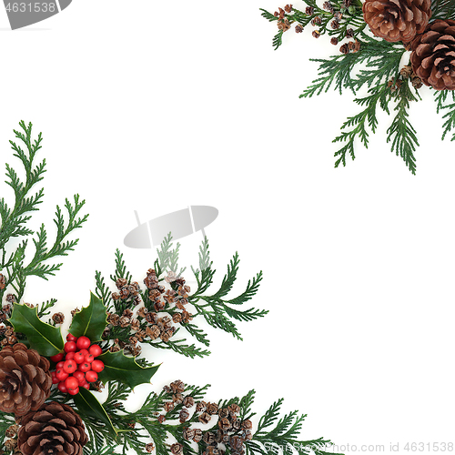 Image of Natural Winter Floral Border