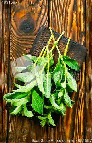 Image of fresh mint