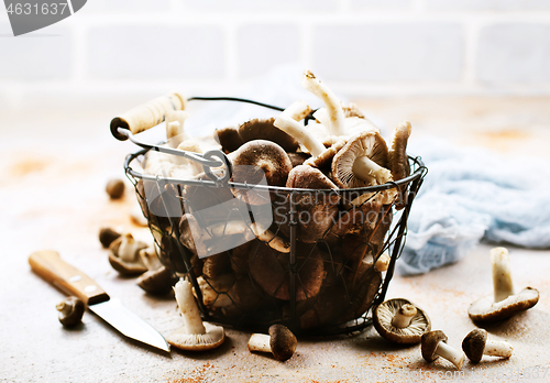 Image of raw mushrooms