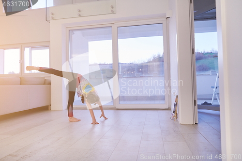 Image of girl online education ballet class at home