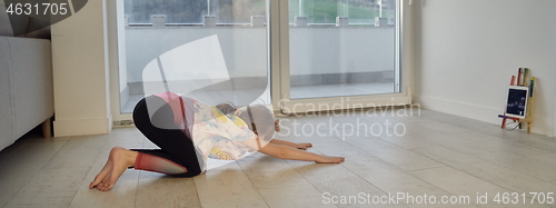 Image of girl online education ballet class at home